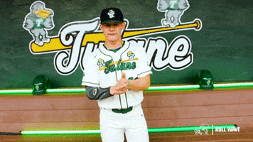 New Orleans Baseball GIF by GreenWave