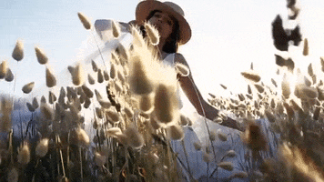 hesjistudio GIF