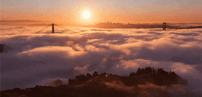 San Francisco GIF