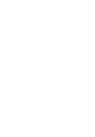 Delfin Machines Sticker