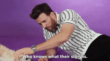 Chris Evans Dog GIF by BuzzFeed