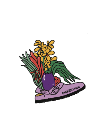 Sg60 Sticker by Birkenstock SG