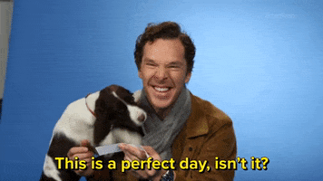 Happy Benedict Cumberbatch GIF by BuzzFeed