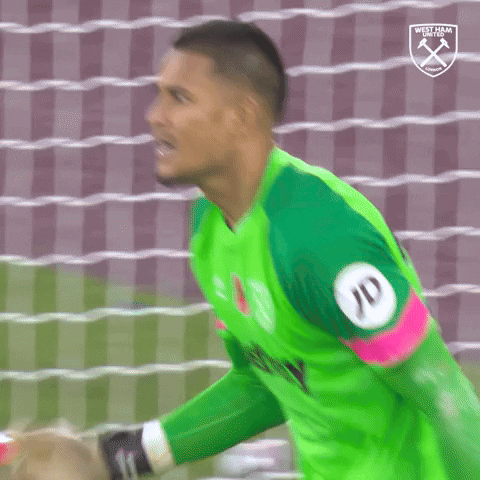 Save Come On GIF by West Ham United