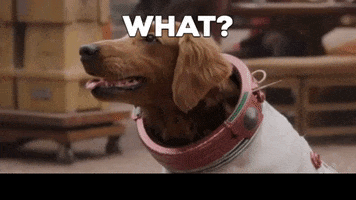 What GIF