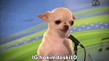 Dog Ai GIF