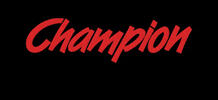 Champion Motorsport GIF by Champion Porsche
