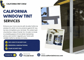 Tinted Windows In California GIF