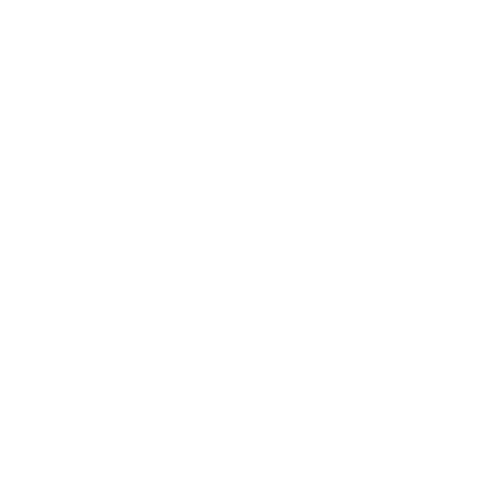 Christmas Shine Sticker by Brand by Mirelle