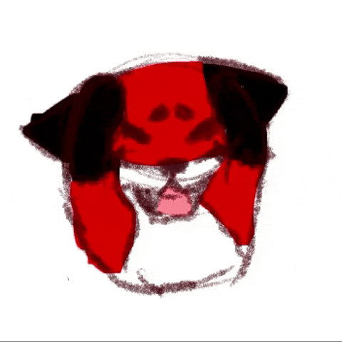Fox GIF