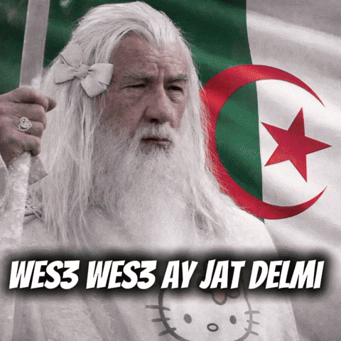 North Africa Wow GIF