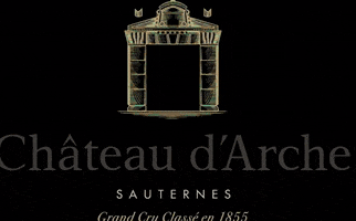 chateaudarche GIF