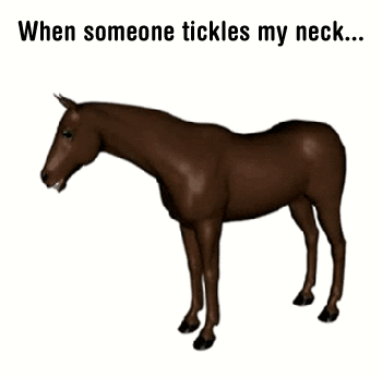 neck GIF