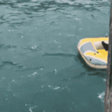Paddelboot GIF
