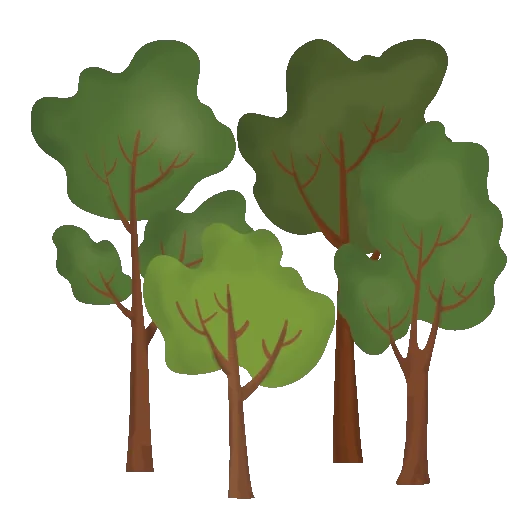 Source: @NaturgyExperience