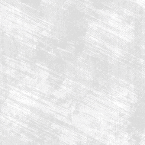 GIF by Trinx Factory Team