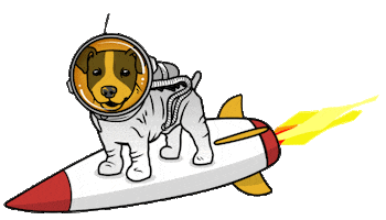 Sebe Boekhouders Sticker