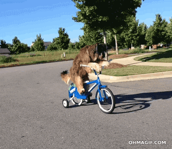 Image result for make gifs motion images of people riding bicycles