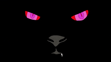 Art Cat GIF by Epitaph Records