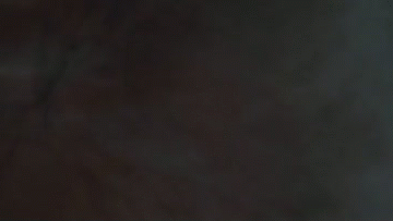 spell