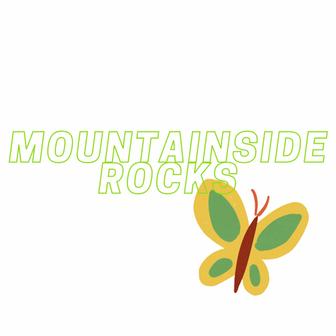 mountainsides meaning, definitions, synonyms