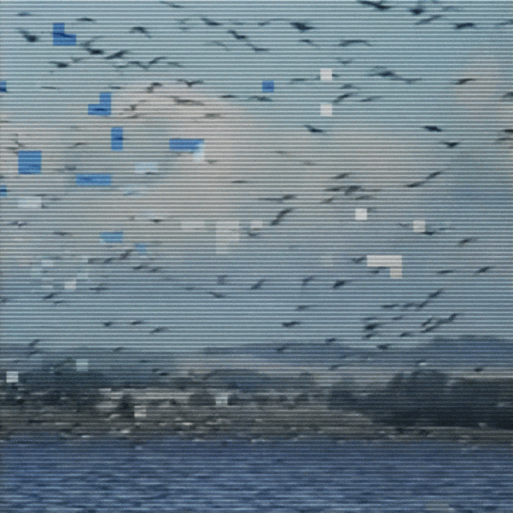 Glitch GIF
