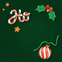 Merry Christmas GIF by Studio Neuhaus