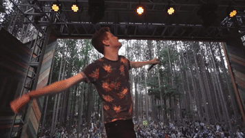electric forest dance GIF by Casablanca Records