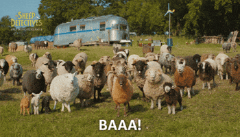 The Sheep Detectives GIF