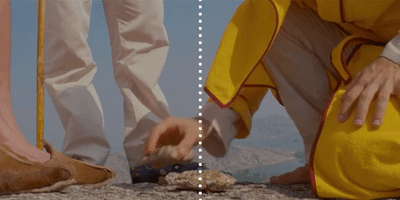wes anderson nowness picks GIF by NOWNESS
