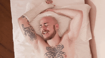 Panetty GIF