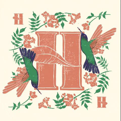 Hummingbird GIF