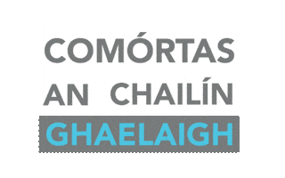 Gaa Lgfa Sticker by TG4TV