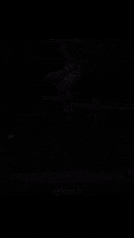 Ff Freefire GIF