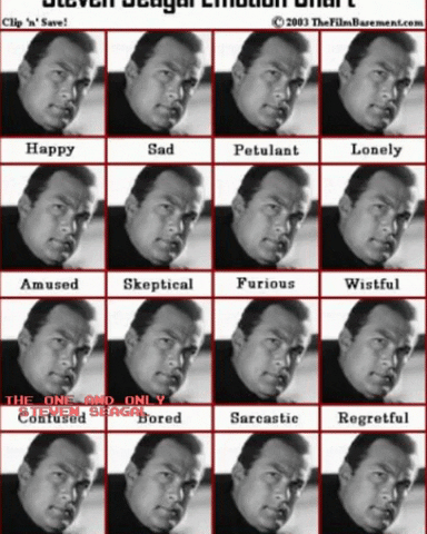 Steven Seagal Emotion Chart Gif GIF