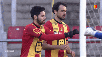 KV Mechelen GIF