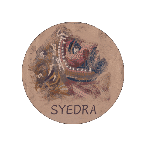 Syedra Sticker