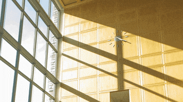 Architecture Shadows GIF by Middlebury