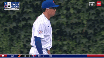 Chicago Cubs Baseball GIF
