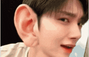 Angry Bird Joshua GIF