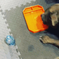 Shark Tank Laughs GIF by Grypmat
