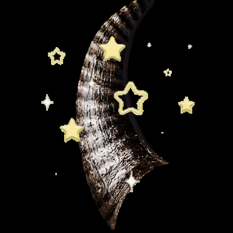 Horn Fran GIF