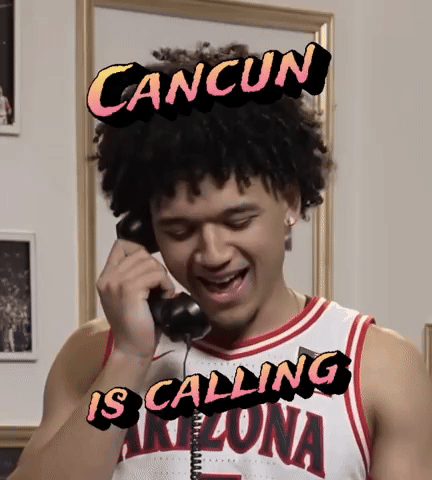 Arizona GIF