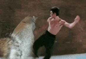 Remember Bruce Lee GIF