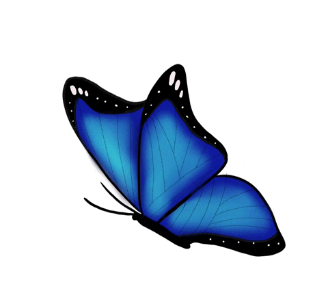 Blue Butterfly Gifs Get The Best Gif On Giphy