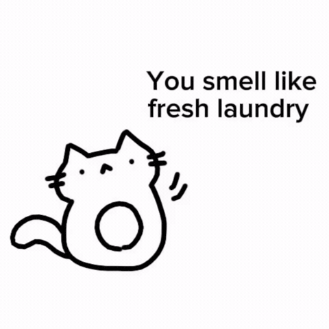 Cat Kitty GIF