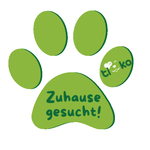 Tierliebe Catslove Sticker by TiKoTierheim