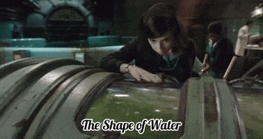 The Shape Of Water Merman GIF