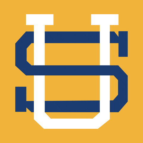 Sport College GIF by SUSCC