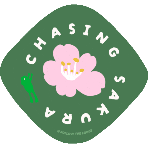 Chasing Cherry Blossoms Sticker by Follow The Frogs
